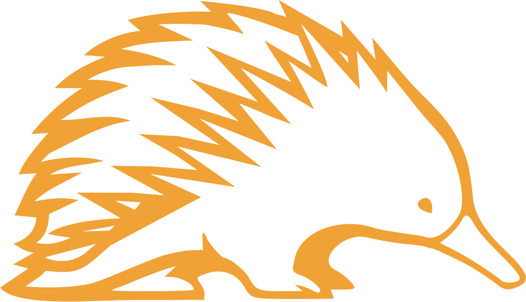 Echidna Systems Brandmark